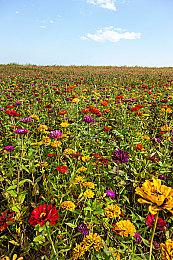 毒液配音演员透露《漫威蜘蛛侠2》将于9月发售